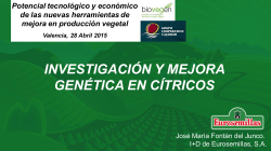 Investigación y mejora en cítrico. José María Fontán / I+D