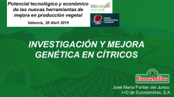 Investigaci&oacute;n y mejora en c&iacute;trico. Jos&eacute; Mar&iacute;a Font&aacute;n / I+D