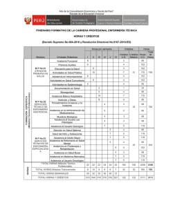 itinerario enfermeria tecnica