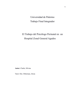 Universidad de Palermo Trabajo Final Integrador El Trabajo del