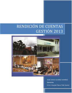 RENDICIÓN DE CUENTAS GESTIÓN 2013