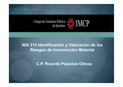 NIA 315 (2da sesión).