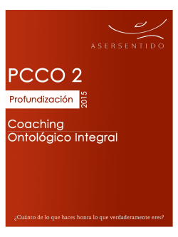 PCCO 2 - Asersentido