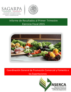 Informe de Resulados al Primer Trimestre 2015