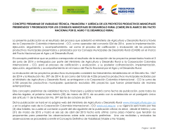 concepto preliminar - Corporación Colombiana Internacional