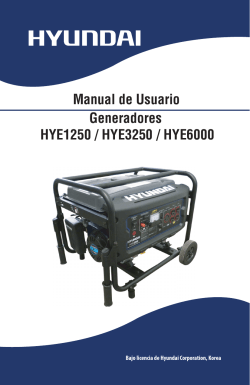 Manual de Usuario Generadores HYE1250 / HYE3250 / HYE6000