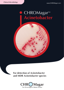 CHROMagarTM Acinetobacter