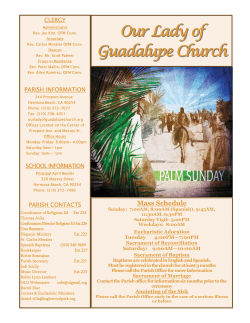 032915 - Palm Sunday - Our Lady of Guadalupe Church