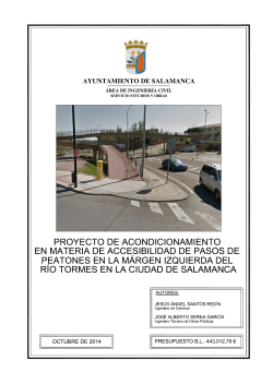 Proyecto Pasos peatones MI