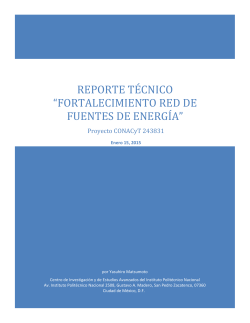 Reporte Final 2015 - Red de Fuentes de Energía