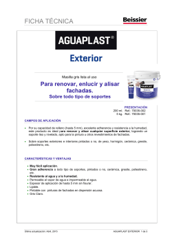 Ficha técnica Aguaplast Exterior pasta