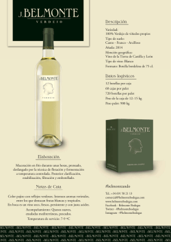 ficha t&eacute;cnica verdejo ESP.ai
