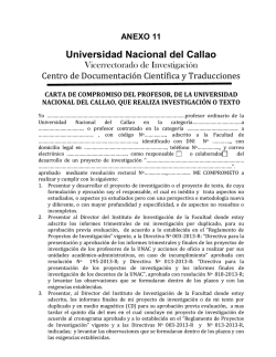 081-15-R DIRECTIVA 004-15-R PRESENT Y APROB DE PROY