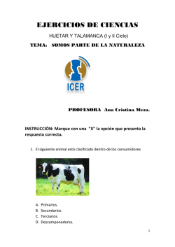 EJERCICIOS DE CIENCIAS