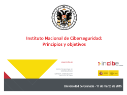Instituto nacional de ciberseguridad: objetivos y principios