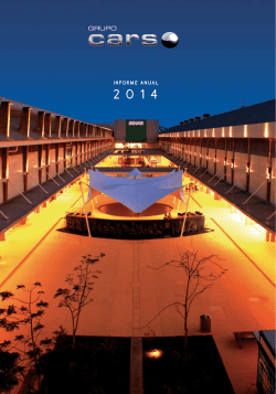 Informe anual 2014