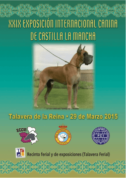 talavera de la reina