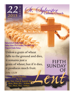 The Fifth Sunday of Lent