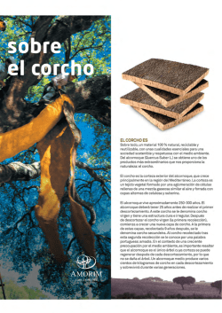 Descargar Catálogo en PDF