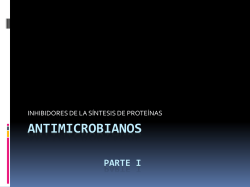 Inhibidores de la s&iacute;ntesisde proteinas I