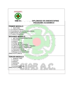 Descarga