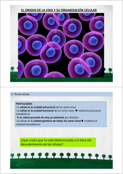 Célula. Orgánulos. División celular (mitosis y