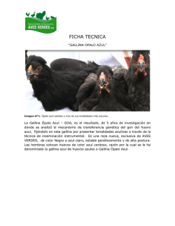 ficha tecnica