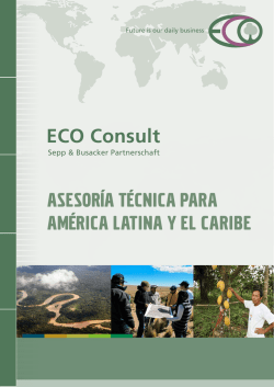 ASESORÍA TÉCNICA PARA AMÉRICA LATINA Y EL CARIBE