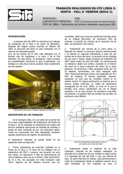 Ficha Semsig UTE L5 Vall d`Hebron.