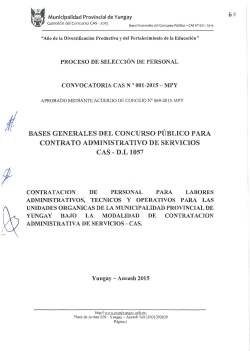 1. Bases del Concurso - Municipalidad Provincial de Yungay