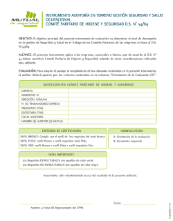 INSTRUMENTO AUDITOR&Iacute;A EN TERRENO GESTI&Oacute;N SEGURIDAD