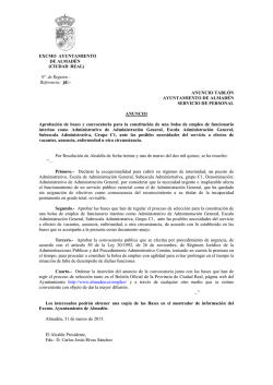 EXCMO AYUNTAMIENTO DE ALMADÉN (CIUDAD REAL) Nº de