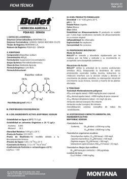 ficha t&eacute;cnica