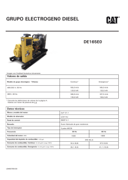 GRUPO ELECTROGEN0 DIESEL
