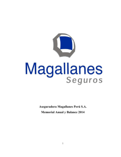 memoria anual 2014 - Aseguradora Magallanes Perú