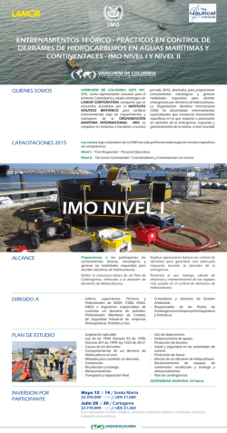 IMO NIVEL I