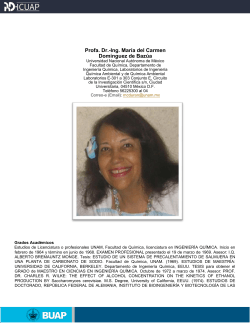 Profa. Dr.-Ing. María del Carmen Domínguez de Bazúa