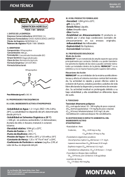 ficha t&eacute;cnica