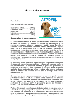 01 Ficha T&eacute;cnica Artrovet - Veterinaria Gran Avenida