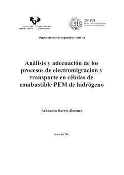Análisis y adecuación de los procesos de electromigración y