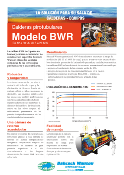 Fire tube Steam Boilers - BWR series