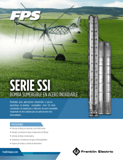 Flyer Serie SSI