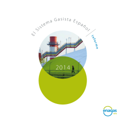 Informe del Sistema Gasista Español 2014