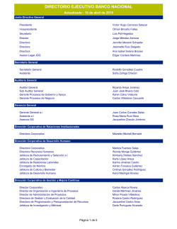 DIRECTORIO EJECUTIVO BANCO NACIONAL