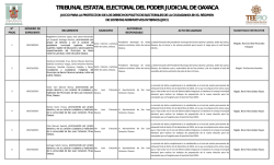 juicio para la protecc&iacute;on de los derechos pol&iacute;ticos electorales de la
