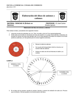 Elaboraci&oacute;n del disco de aniones y cationes