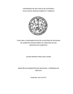 gu&iacute;a para la implementaci&oacute;n de un sistema