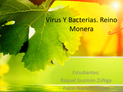 Virus Y Bacterias. Reino Monera