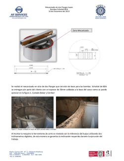 Informe Flanges BDA
