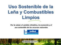 Diapositiva 1 - Ministerio de Ambiente y Recursos Naturales